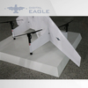 DIGITAL EAGLE